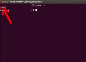 Check-if-Linux-OS-Is-32-Bits-or-64-Bits-by-One-Step-Step-2
