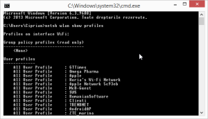2015-04-15 03_33_48-C__Windows_system32_cmd.exe
