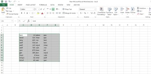 excel_