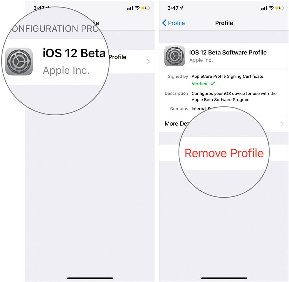 download ios 12 beta profile